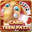 Card Teen Patti icon