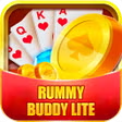 Rummy buddy lite icon