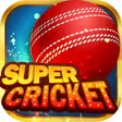 Super Cricket - Rummy APK icon