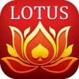 Teen Patti Lotus APK icon