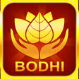 TeenPatti Bodhi icon